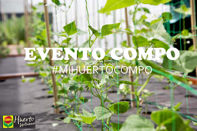 Crea tu propio huerto urbano con #mihuertocompo