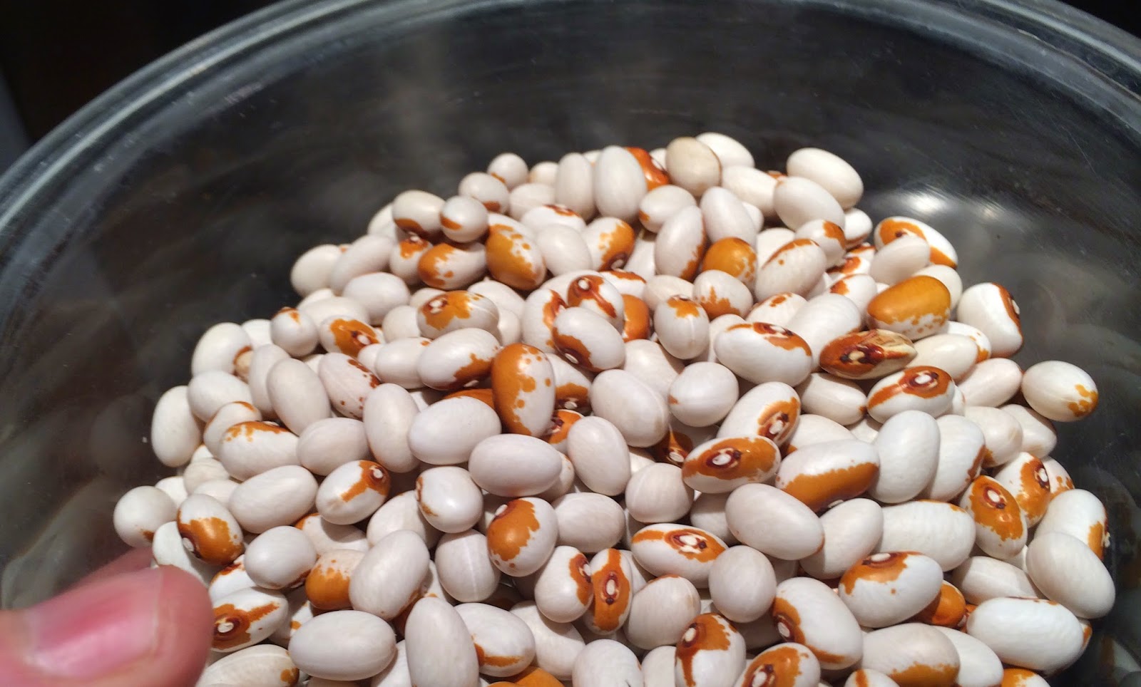Jan's Jars Drying Shelling Beans