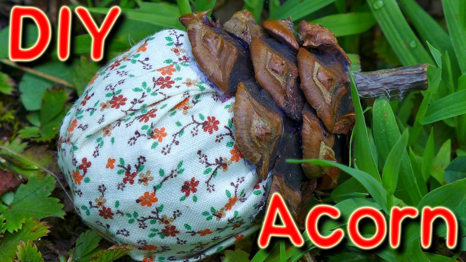 EasyMeWorld: DIY Acorn Craft