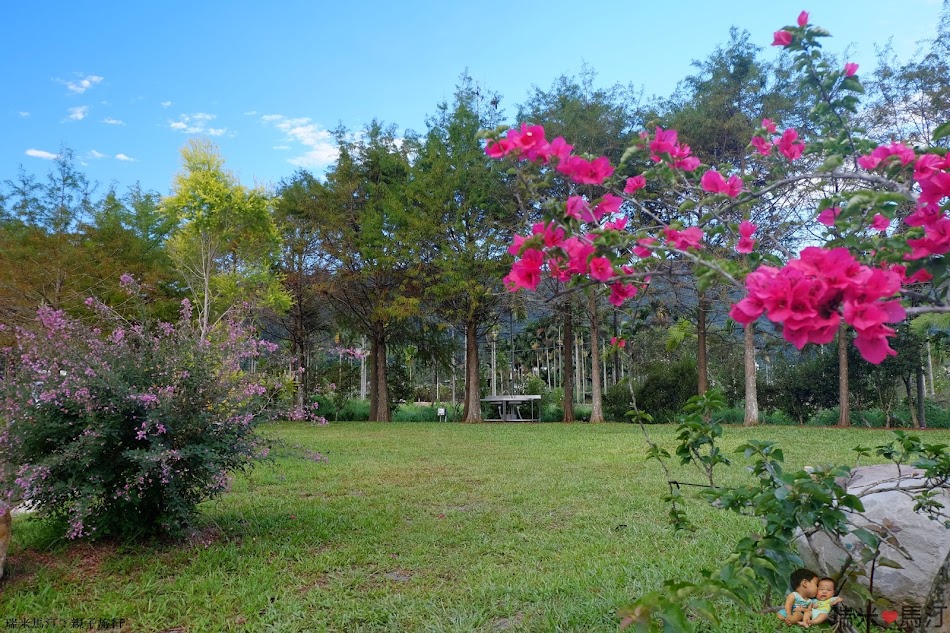 日月松林露營區