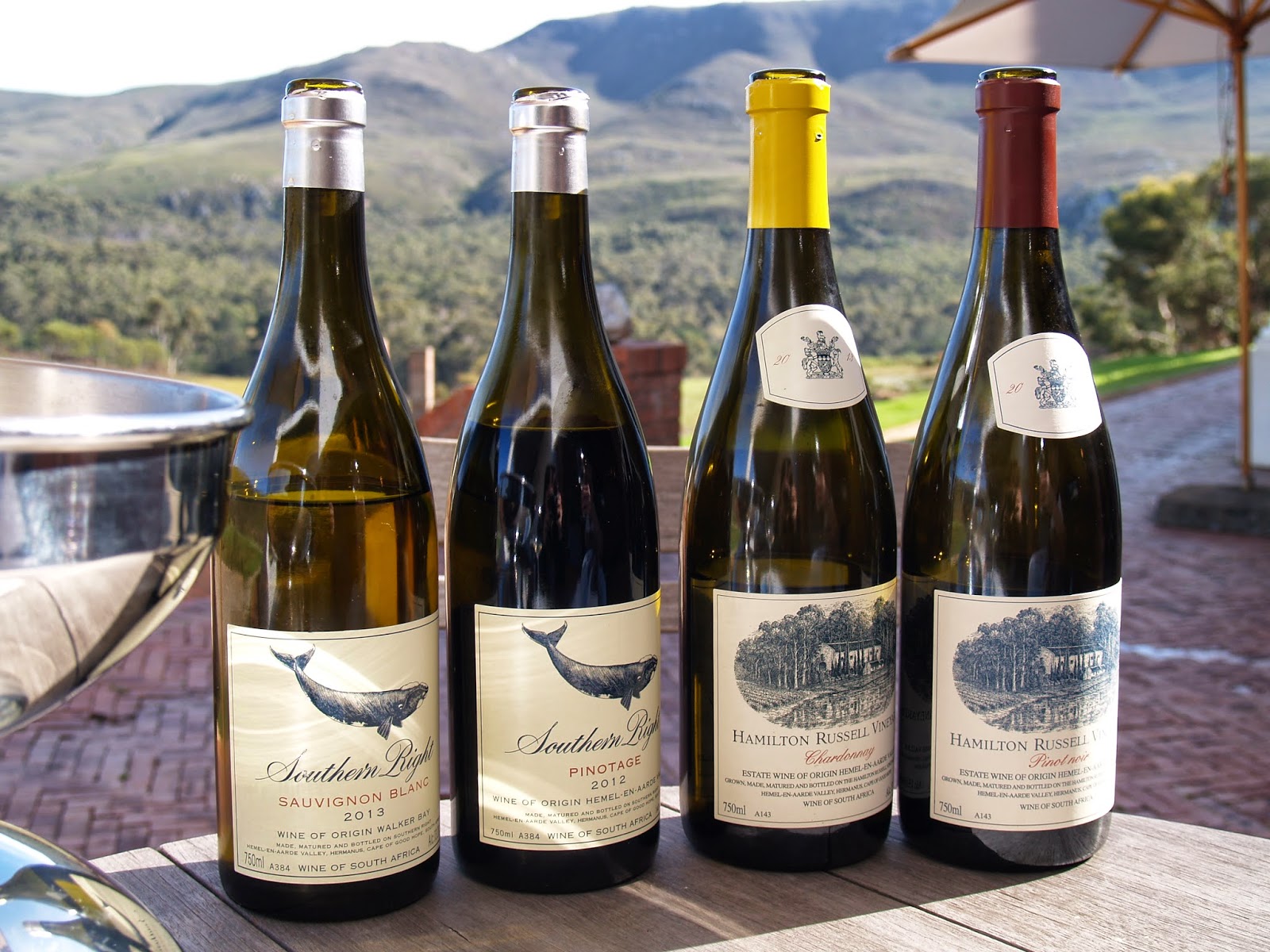 Wine and Wild Spaces Hamilton Russell Wines and the Bliss of Walker Bay