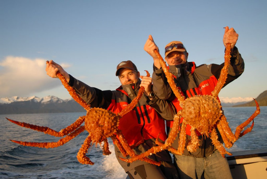 Coronel Von Rohaut "King crab" o cangrejo real de Alaska