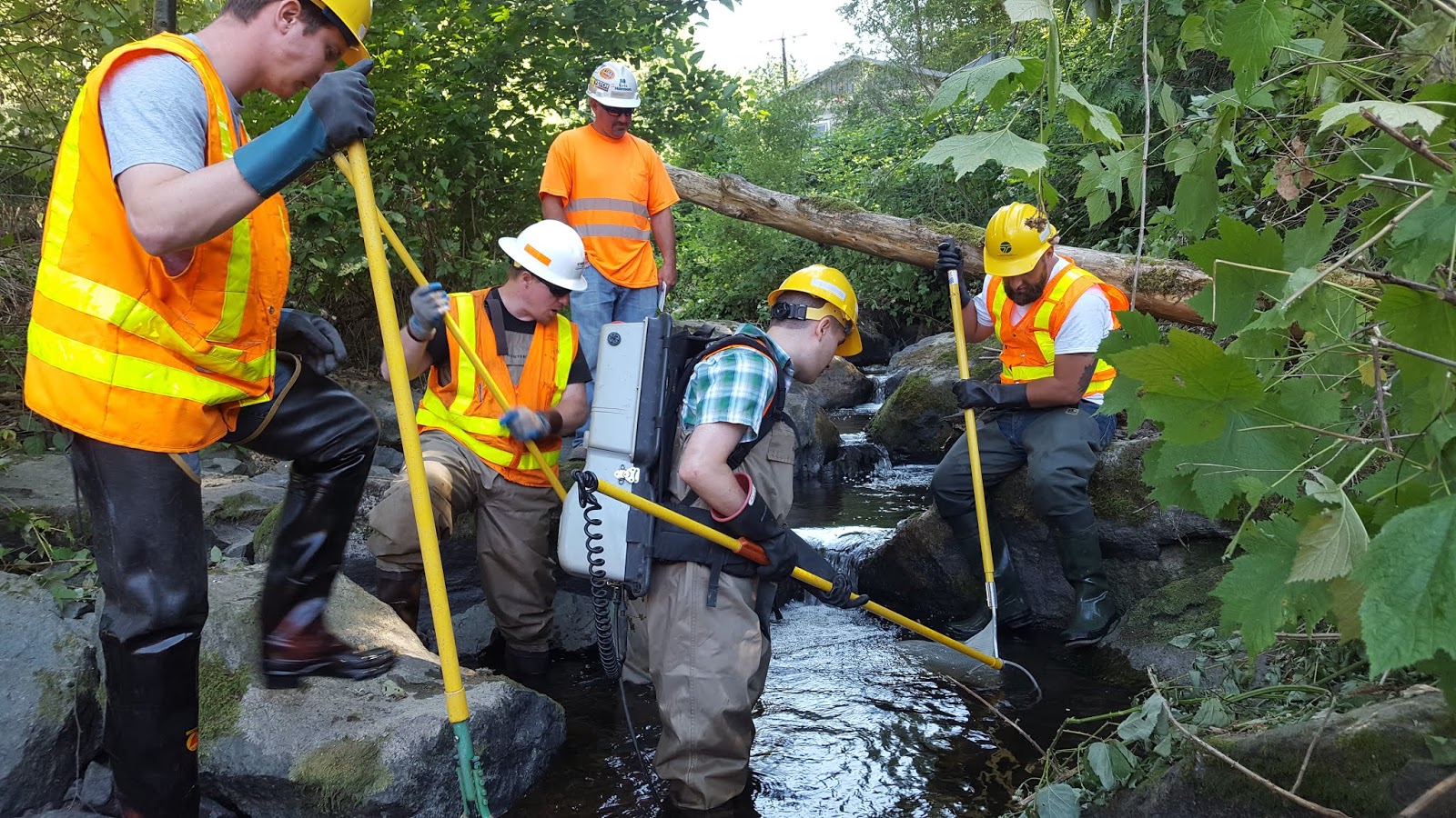 The WSDOT Blog Washington State Department of Transportation Early