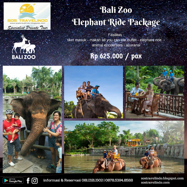 Paket Wisata Naik Gajah di Bali Zoo - SOS TRAVELINDO