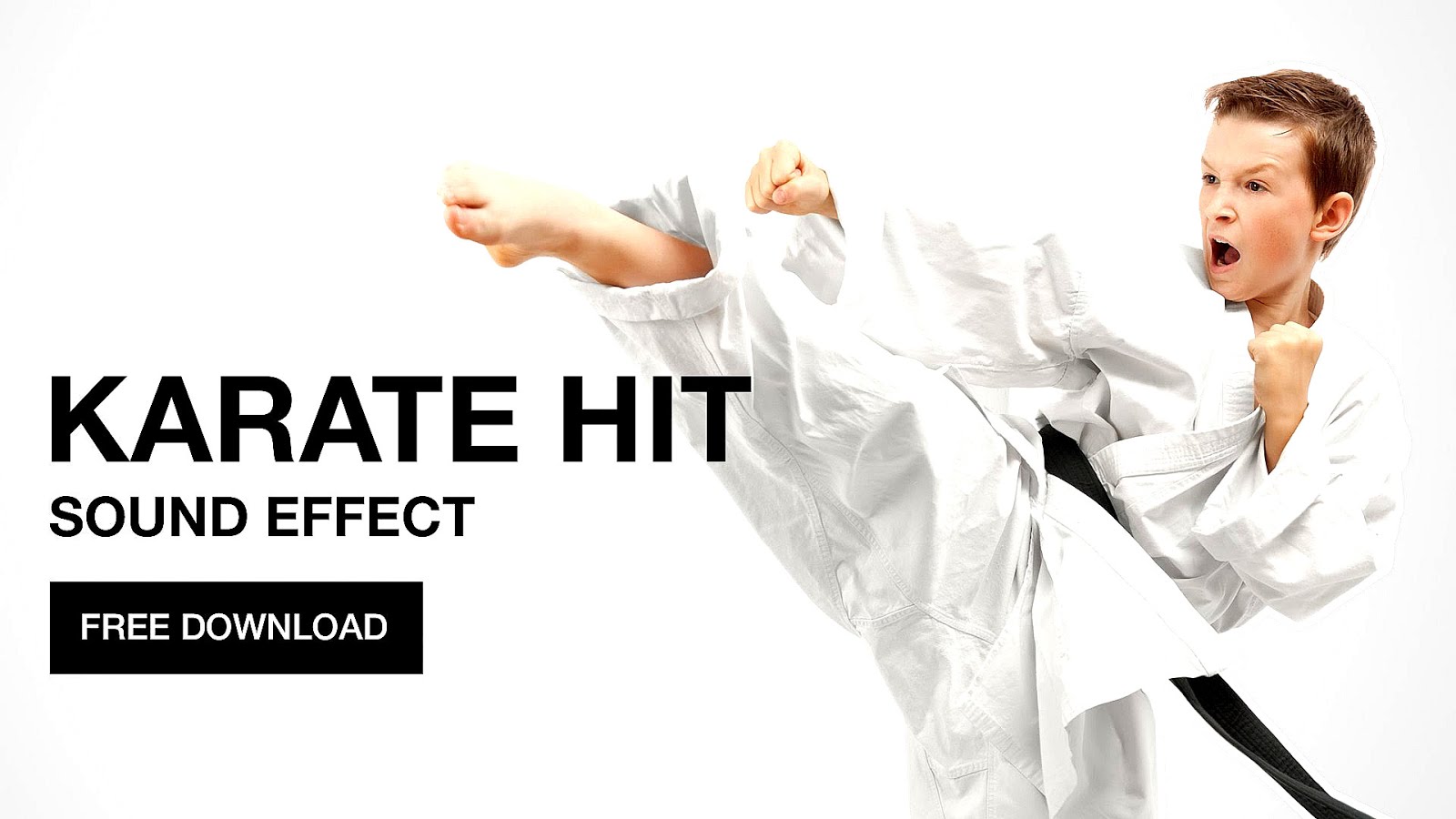 Karate Chop (song) Karate Choices