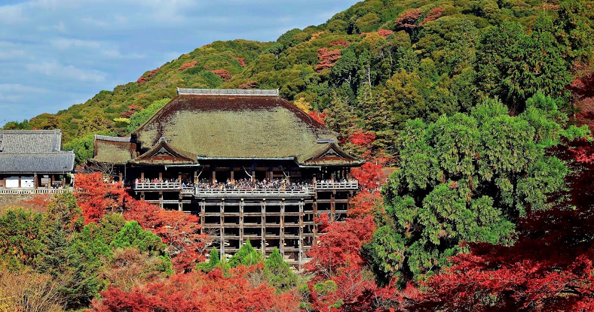 Travel & Adventures: Kyoto ( 京都 ). A voyage to Kyoto 