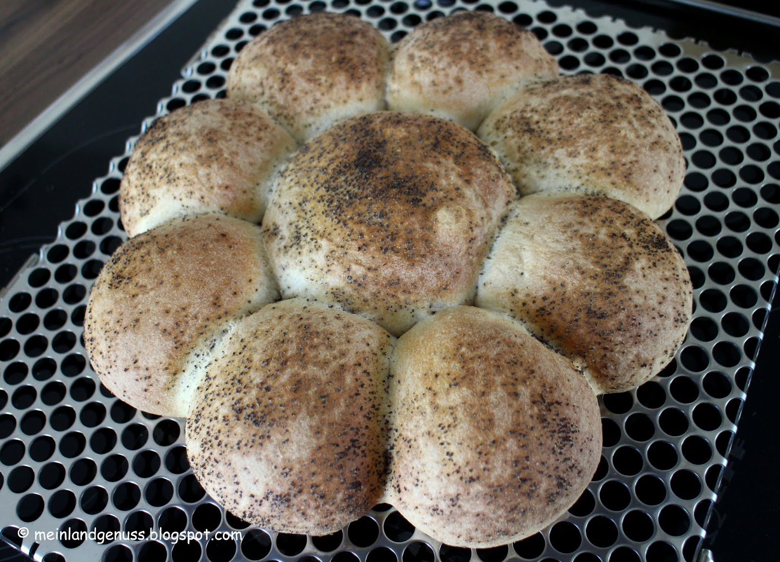 mein Land und Gartengenuss : Buttermilch-Mohn-Brötchen-Sonne