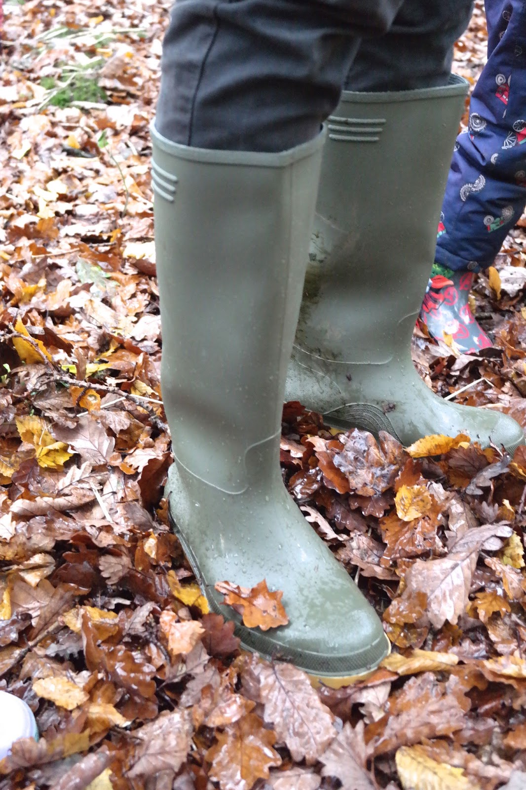 shoe zone wellies