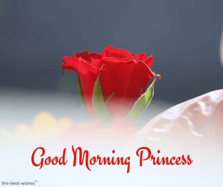 good-morning-for-princess good morning for princess