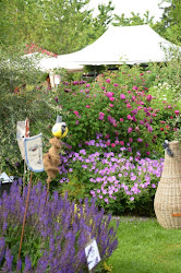 Storchschnabel Und Andere Stauden Gartentage In Seitenstetten No