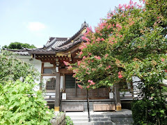 妙隆寺のサルスベリ
