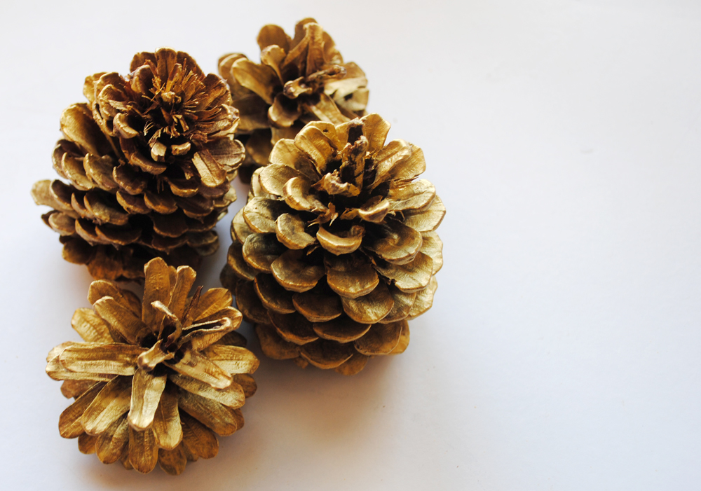 Painted Pine Cones
