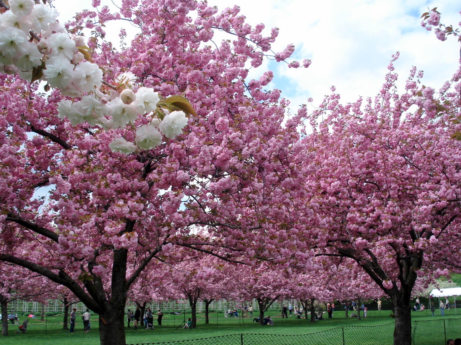 35 Spring Images - 35 Images