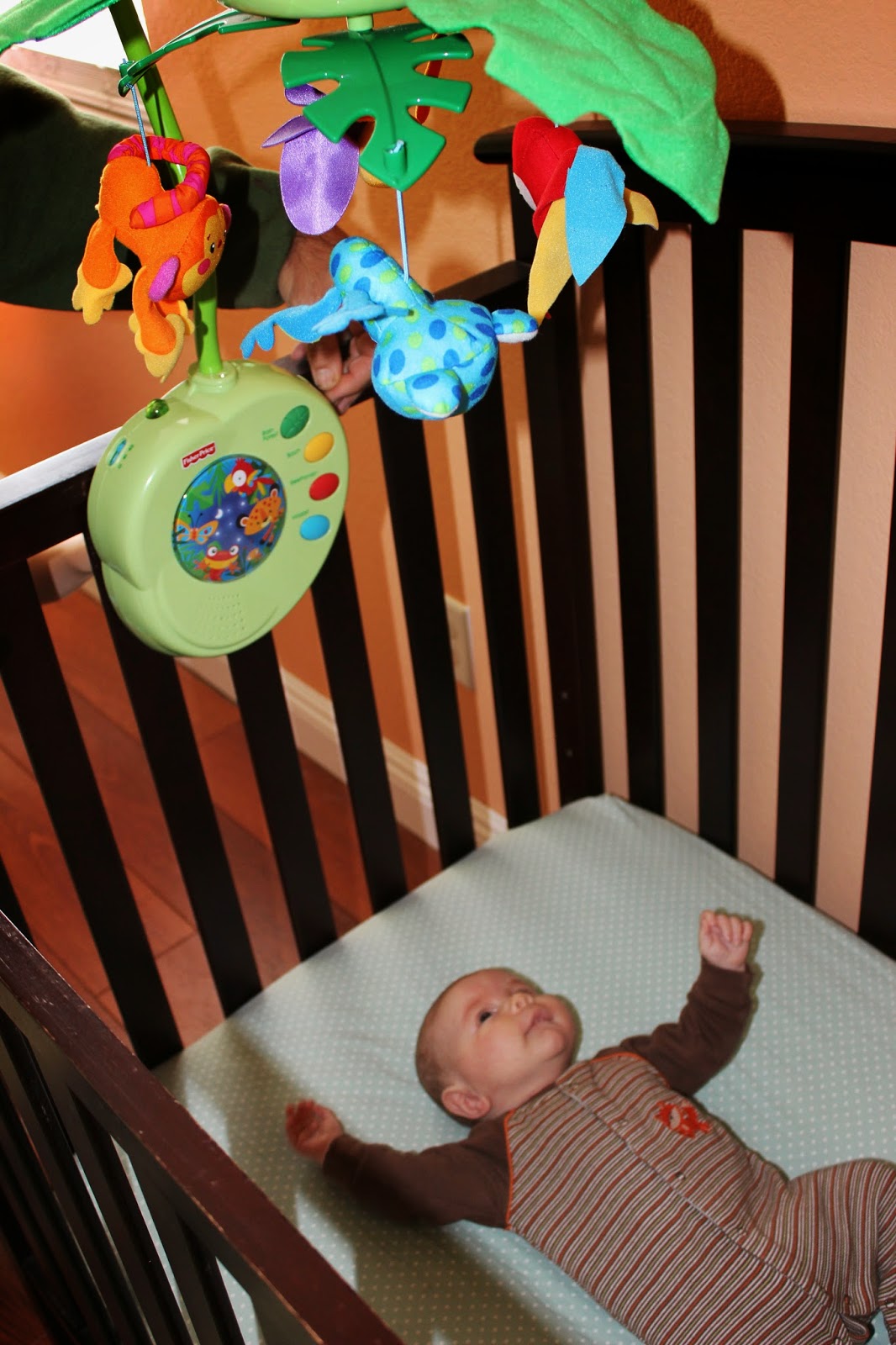 fisher price rainforest peek a boo mobile