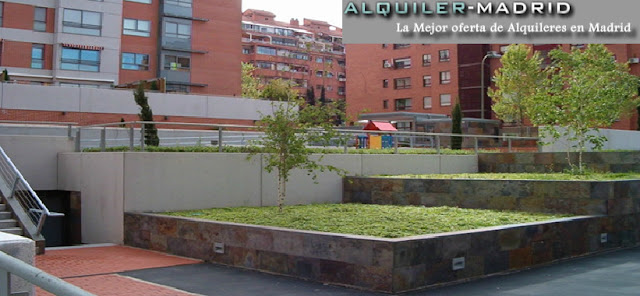 alquilar piso a traves de la comunidad de madrid alquiler madrid alquilar inmuebles en madrid alquilar piso a traves de la comunidad de madrid alquiler madrid alquilar inmuebles en madrid