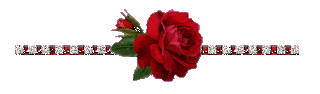 flor221.gif