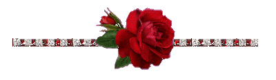 flor221.gif