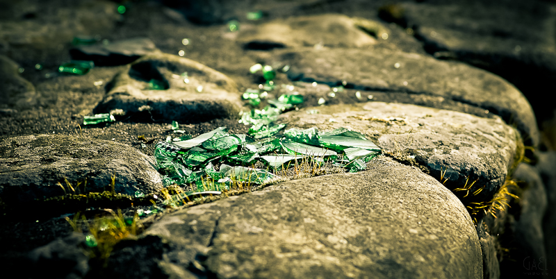 Collected Views And Thoughts 2012