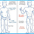 How Can I Increase My Testosterone Levels for More Muscle Growth?
