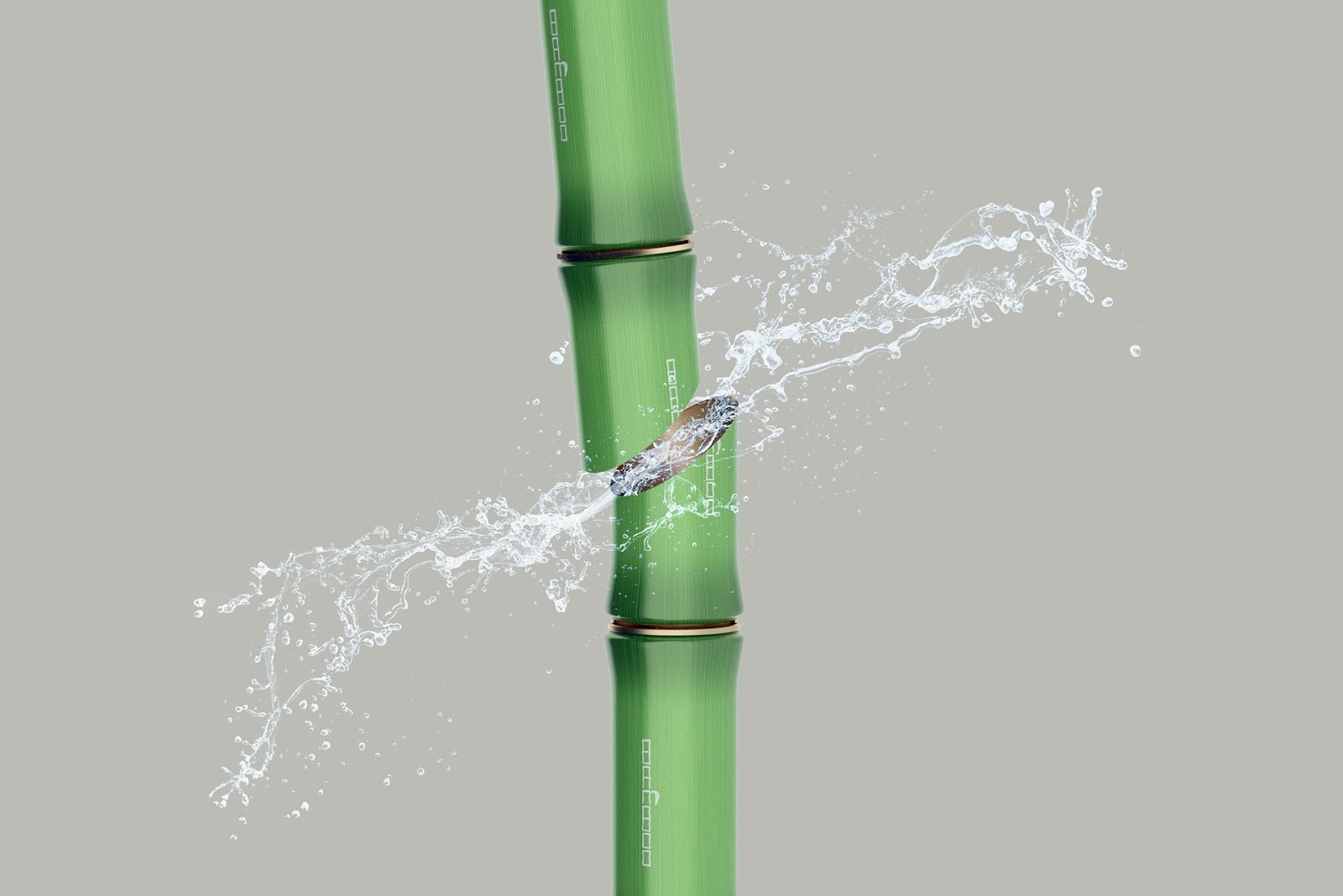 Bamboo Juice (Concept) Packaging Of The World