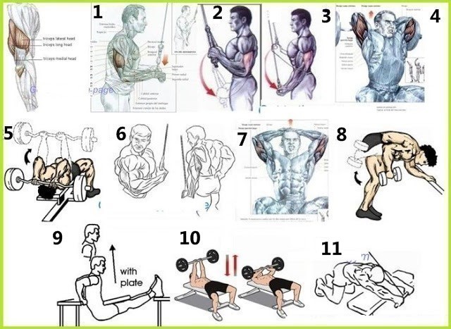 Best Group Exercises Triceps to Build Muscle