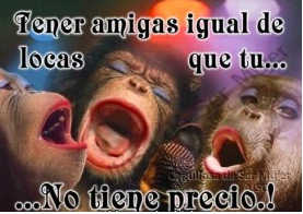 imagenes para whatsapp, frases de risa, chistosas, divertidas, graciosas para whatsapp imagenes para whatsapp, frases de risa, chistosas, divertidas, graciosas para whatsapp