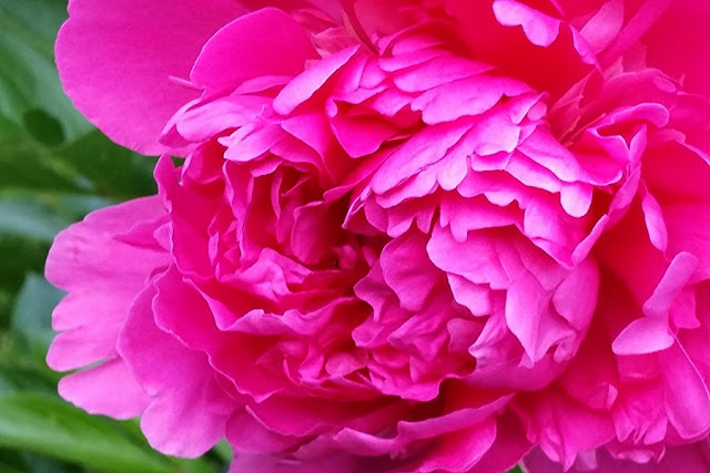 Inselreport De Mein Sonntag In Sassnitz