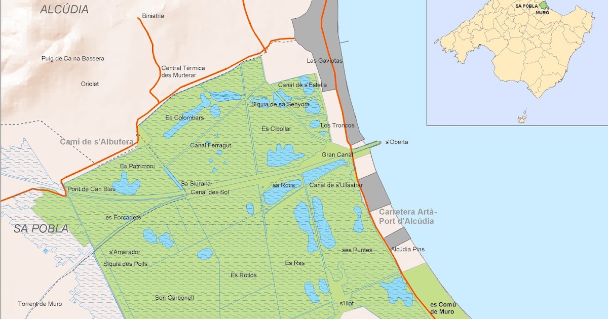 Parc Natural De S Albufera