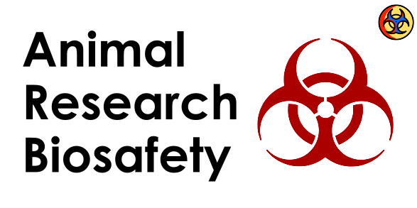 Bioseguridad: Animal Research Biosafety