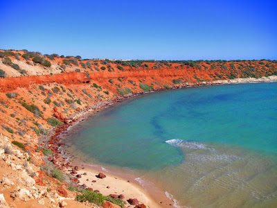 Playa multicolor - Australia Shark Bay, Costa Este