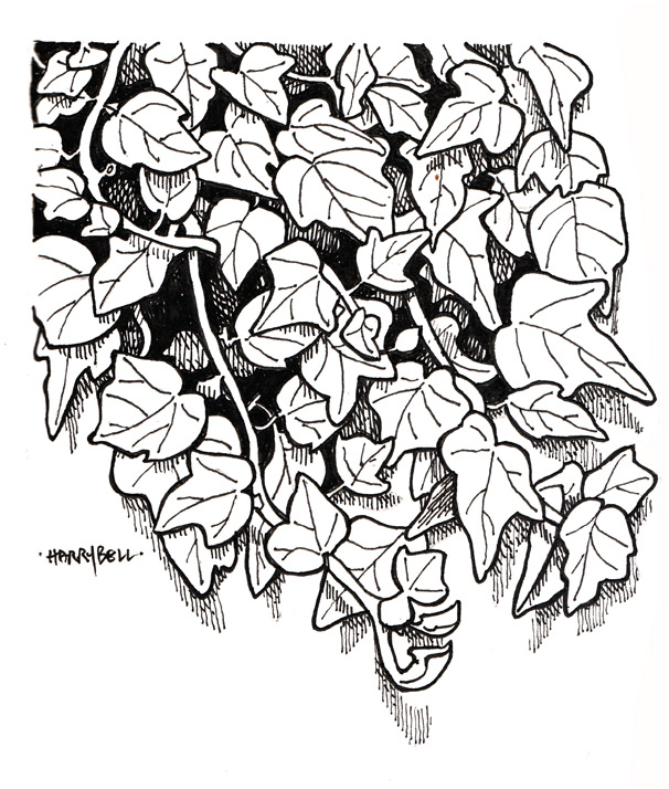 Эскизы тату плющ