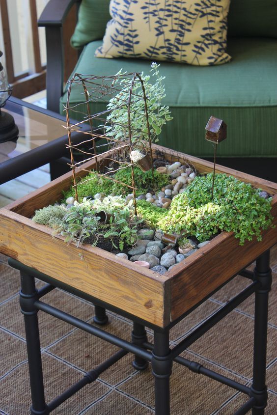 Table Top Gardening Pinterest Gardening