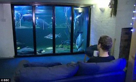 Fish Tanks For Kids Bedrooms
