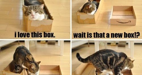 Cute Cat And Funny Cat I Love This Box Wait Is That A New Box I Miss You Old Box I Was Just