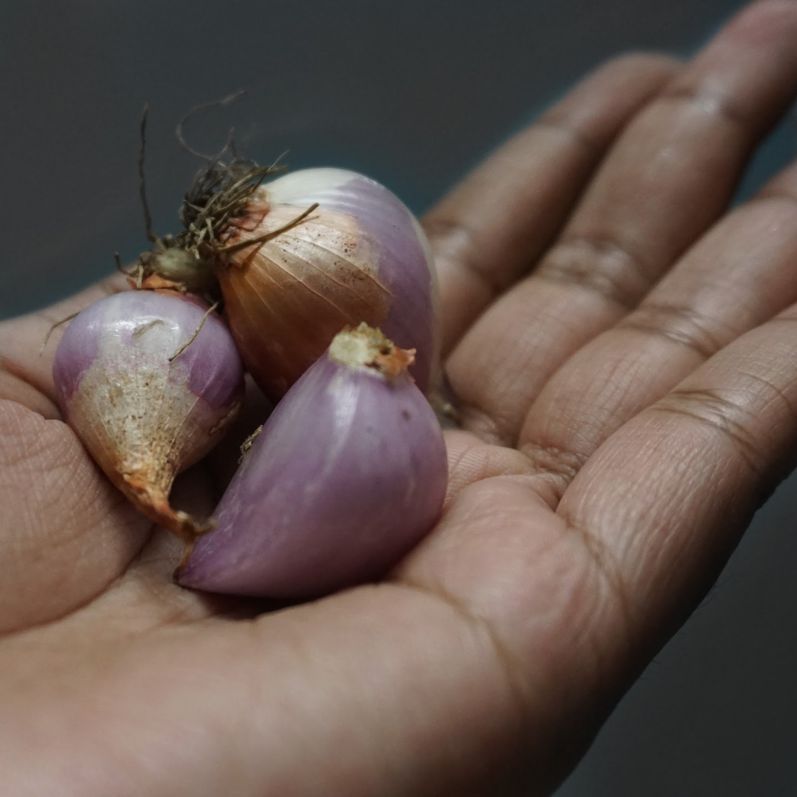 Every bit of life Shallots For Haircare? YES