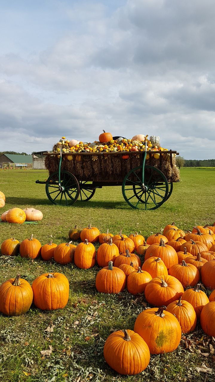 Diepuppenstubensammlerin Latest Snapshot Chan 38875863 Rssing Com