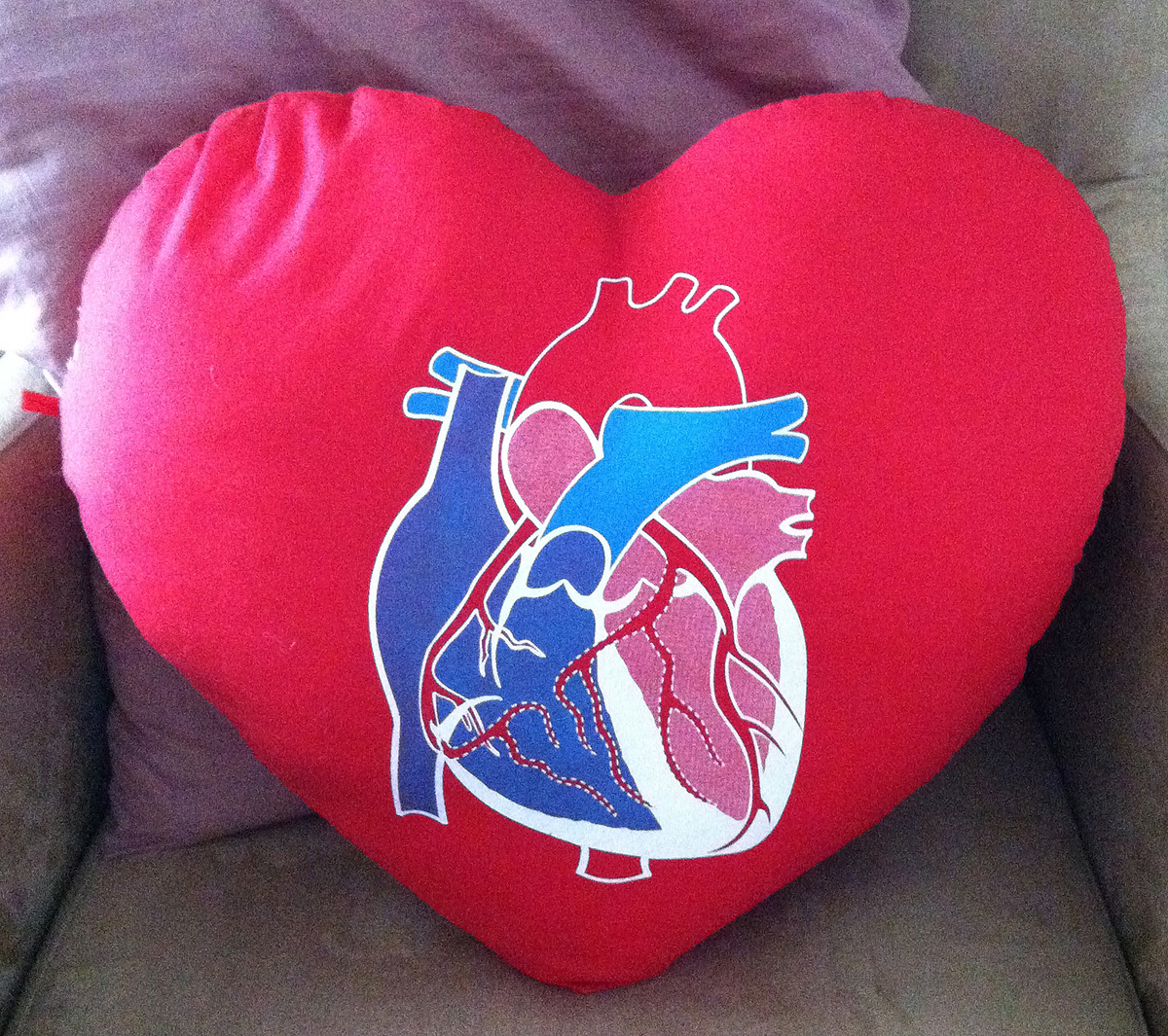 The Night I Followed the Blog The Head and the Heart A Valentine of Sorts