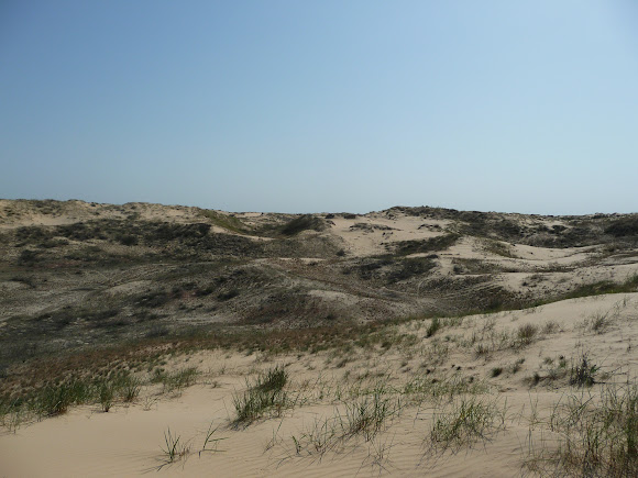 Национальный природный парк «Олешковские пески»