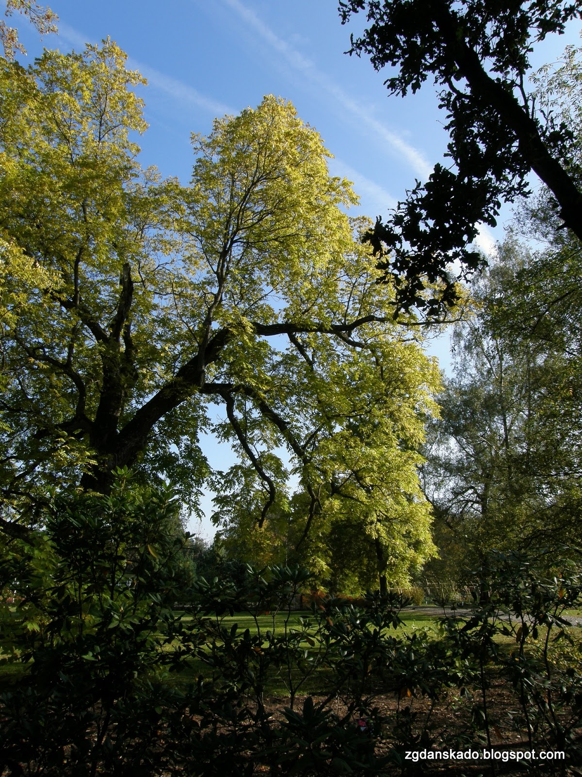 Arboretum - Wirty