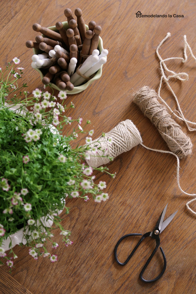 tabletop scene with old scissors, jute rope, wooden clothespins and plant in ceramic bowl