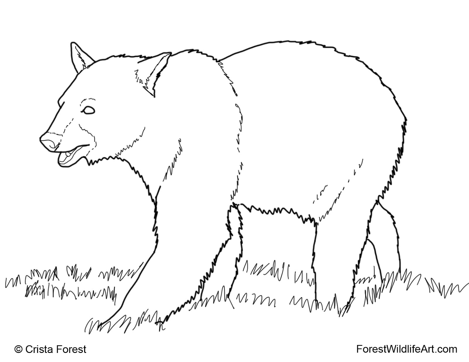 Crista Forest's Animals & Art: Coloring Book Page for Kids - Black Bear