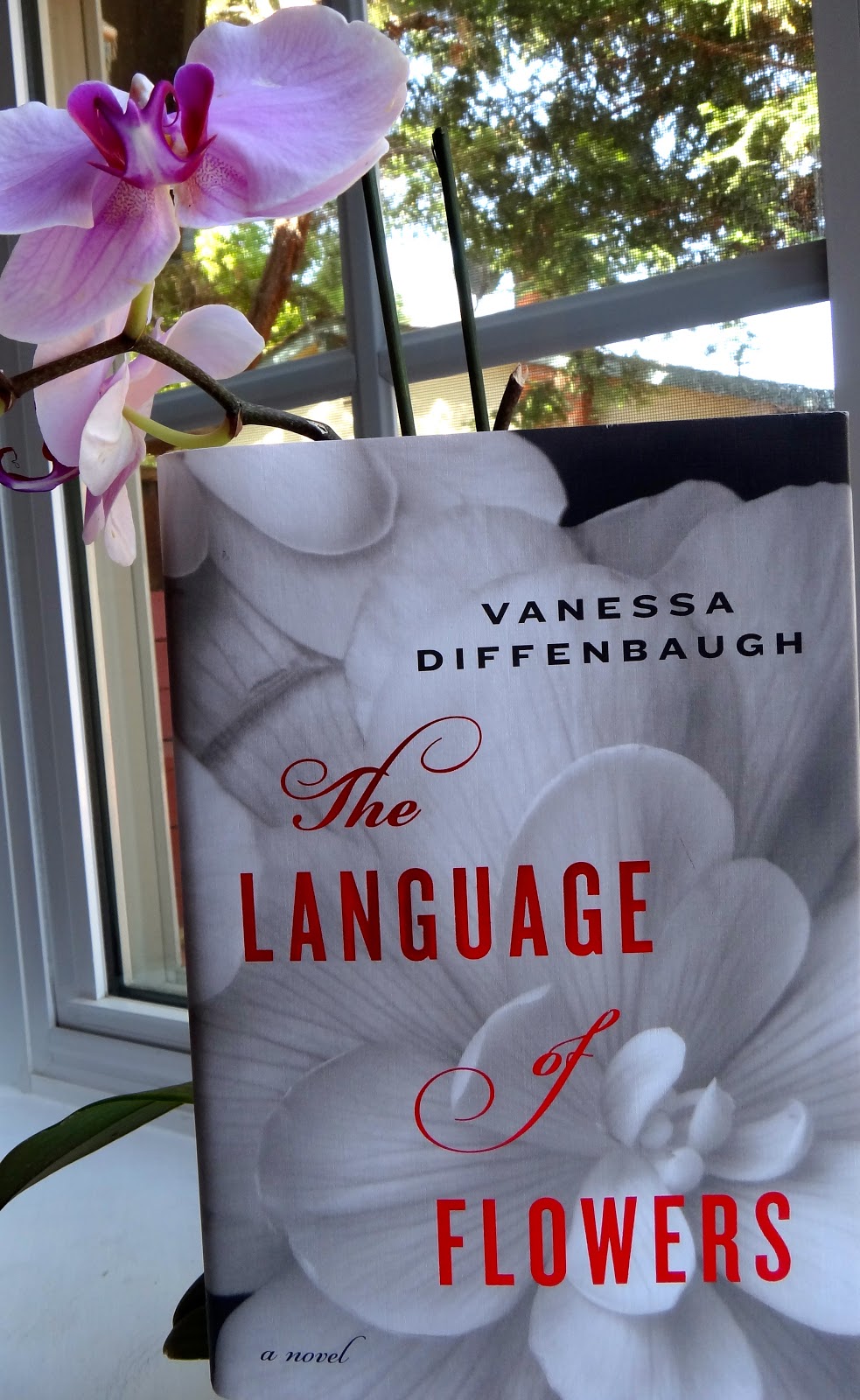A ship made of books The Language of Flowers (Vanessa Diffenbaugh)