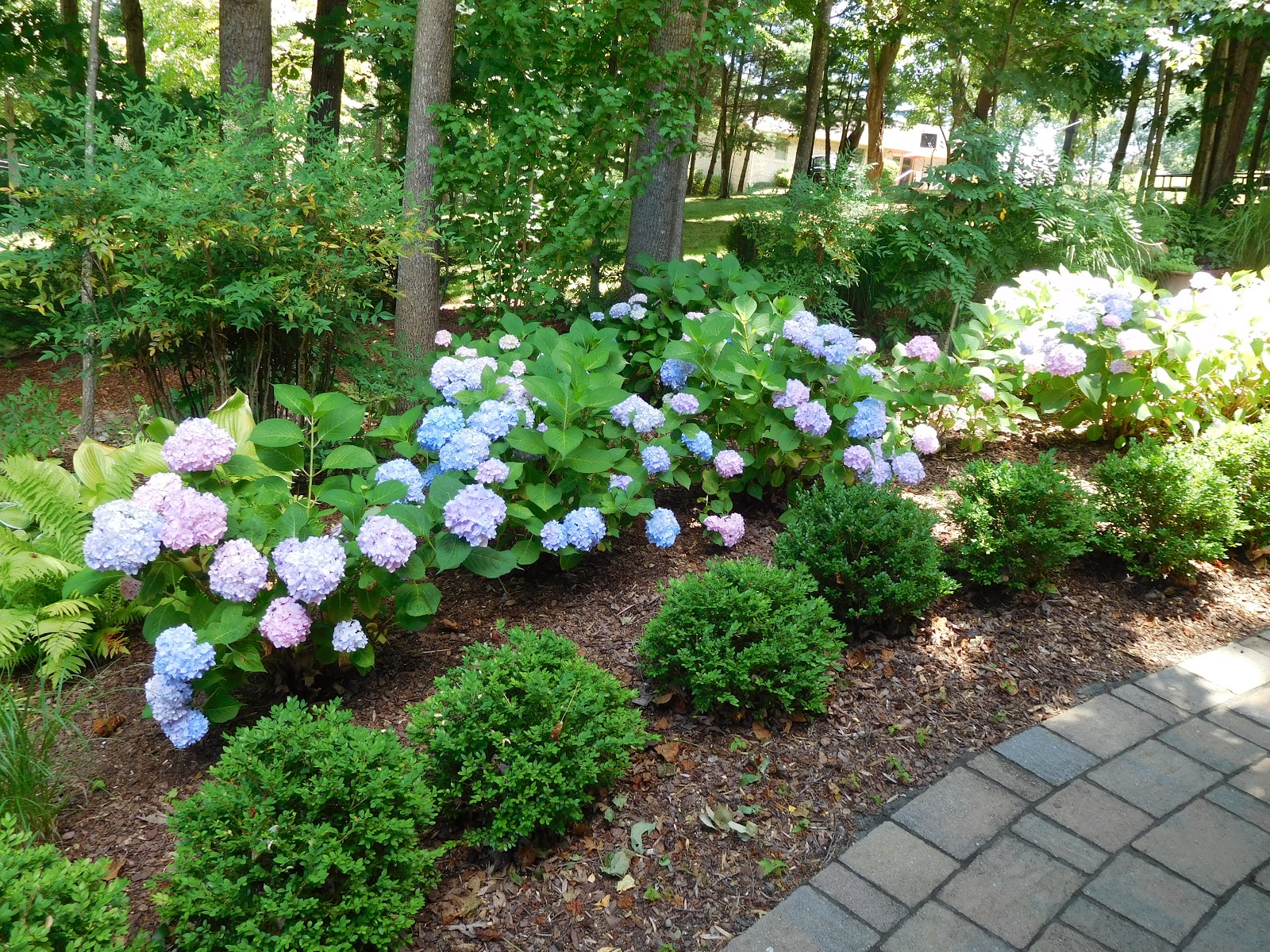 Limelight Stock Photos Limelight Stock Images Alamy