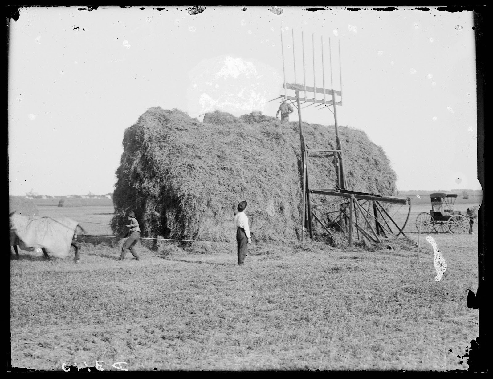 Stacking Hay 1903 in Nebraska Big Picture Agriculture