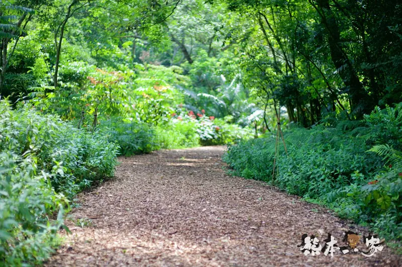 蝴蝶生態區步道|飛牛牧場~唯美自然系IG景點