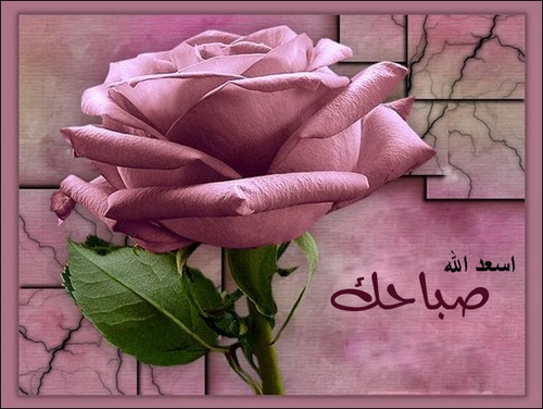 %25D8%25B5%25D9%2588%25D8%25B1-%25D9%2588%25D8%25B1%25D8%25AF-%25D8%25B5%25D8%25A8%25D8%25A7%25D8%25AD-%25D8%25A7%25D9%2584%25D8%25AE%25D9%258A%25D8%25B1%2B%25281%2529
