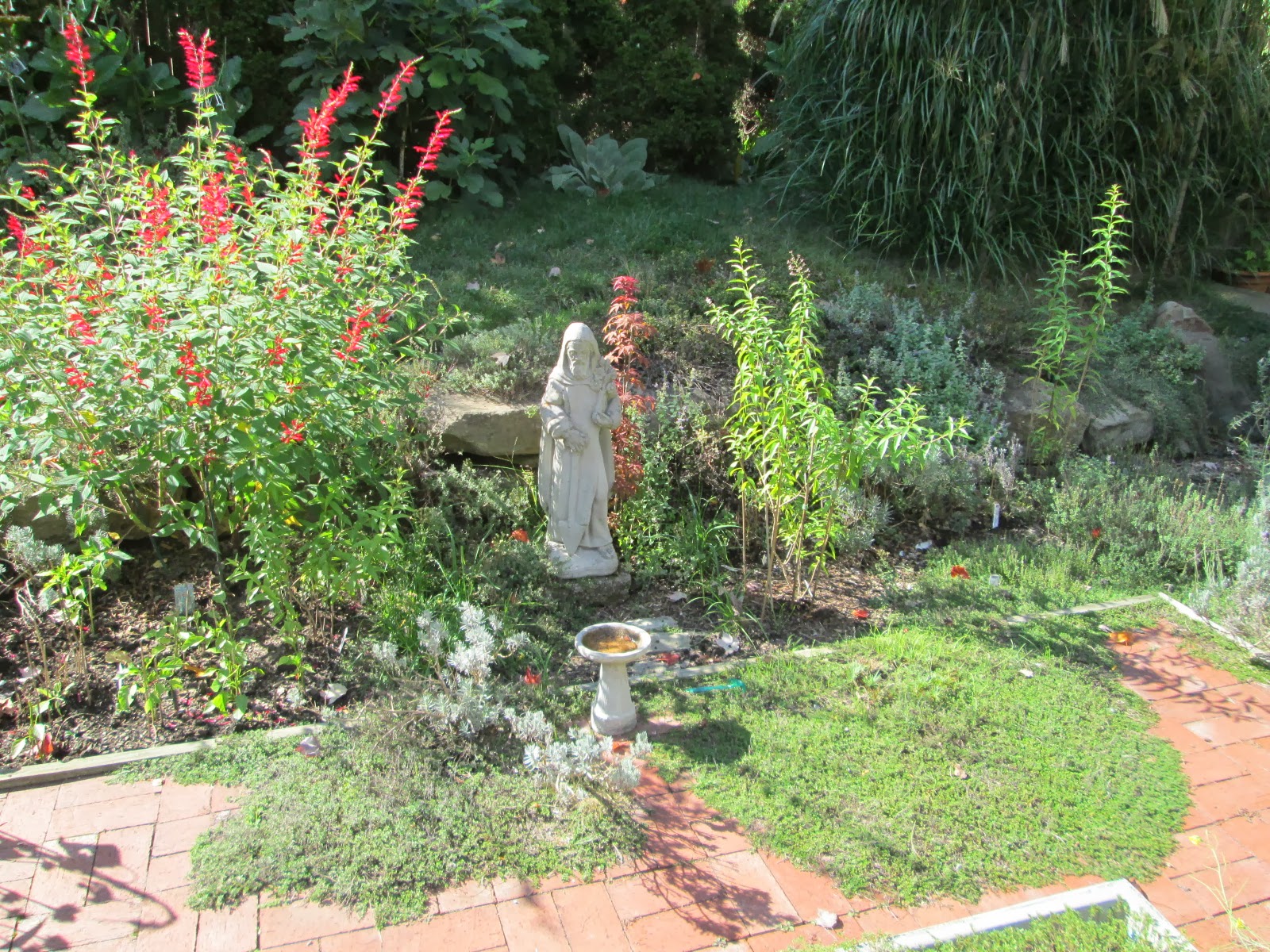 Lemon Verbena Lady's Herb Garden A Small List and Design for the