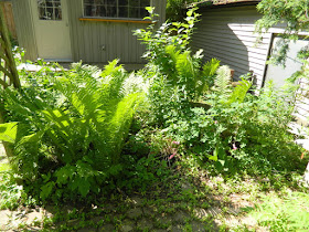 Mount Pleasant West back garden clean up before Paul Jung Gardening Services Toronto