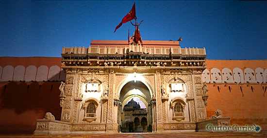 Templo dos ratos sagrados - Karni Mata - Índia
