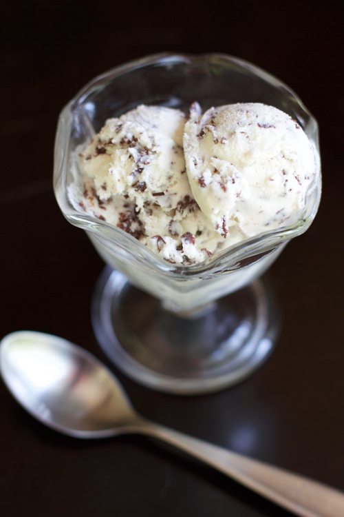 Fresh Mint Chocolate Chip Ice Cream || A Less Processed Life